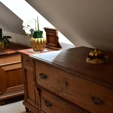 Kolpa Village Majer - And Glamping 3* Gradac