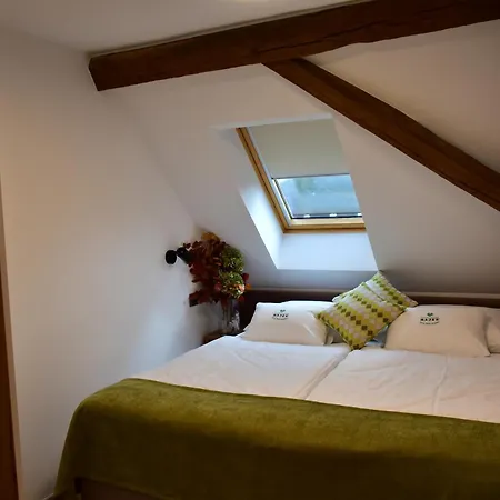 Alojamento de Acomodação e Pequeno-almoço Kolpa Village Majer - And Glamping