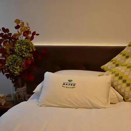 Alojamento de Acomodação e Pequeno-almoço Kolpa Village Majer - And Glamping 3*