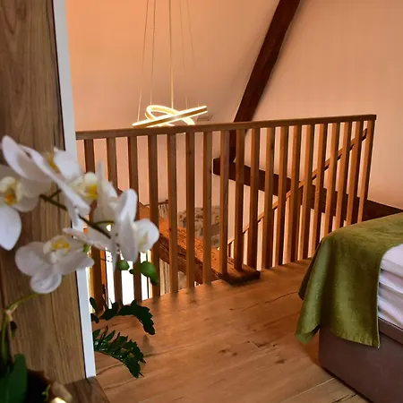 Kolpa Resort Village Majer - Apartments And Glamping Отель типа 