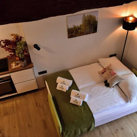 Resort Village Majer - Pocitniske Hiske, Apartmaji, Suite 4* Gradac